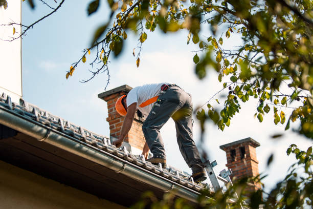 Best Flat Roof Repair Services  in Tioga Terrace, NY